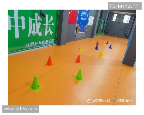 乒乓球盛宴揭秘重庆乒乓球队的训练与竞技状态全景分析