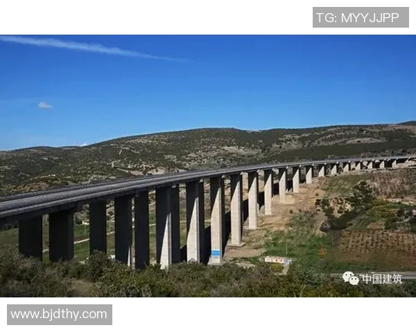 尼日利亚与阿尔及利亚激战正酣比分揭晓引发热议