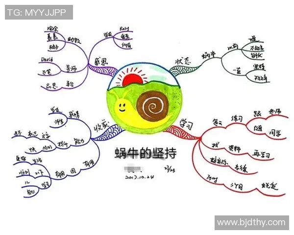 张宁的奋斗历程与人生哲学：从平凡到卓越的心路历程与启示