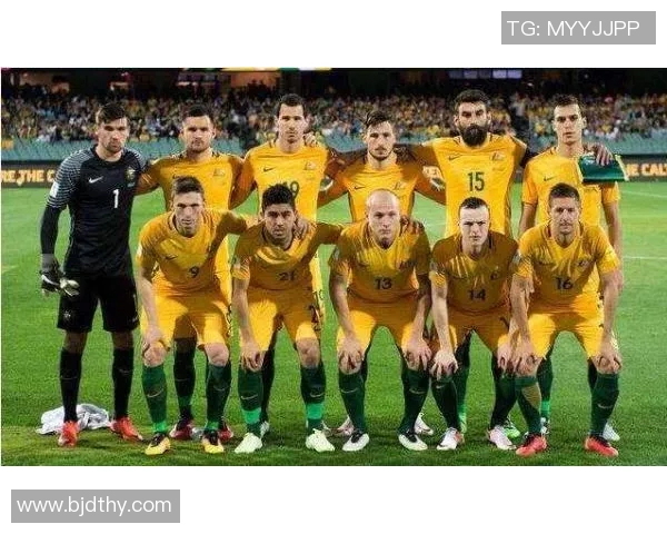 约旦与越南足球对决前瞻分析及预测结果解析 约旦与越南足球对决前瞻分析及预测结果解析